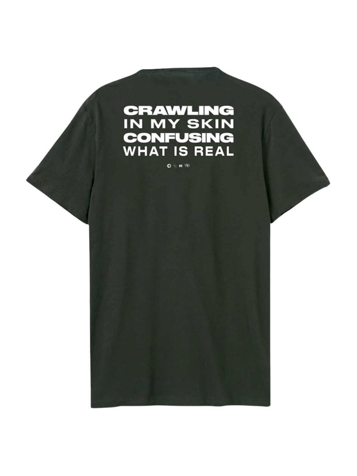 Linkin Park Crawling Lyrics