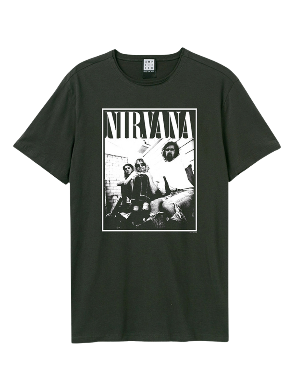Nirvana  Group Shot